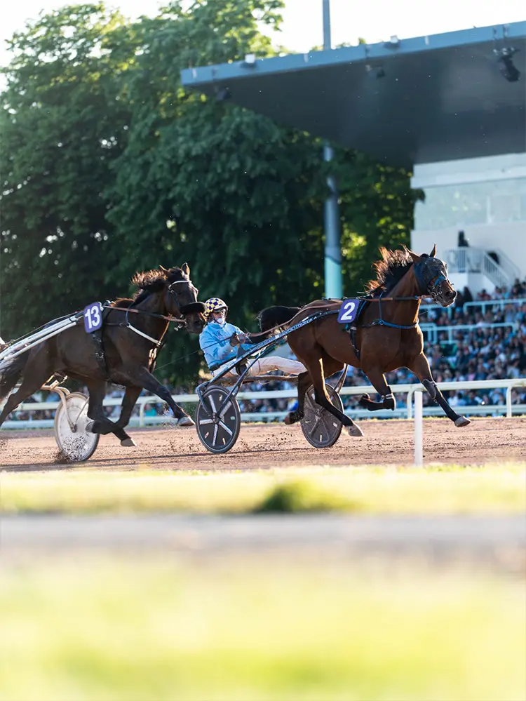 hippodrome-vichy-x-vision-plus