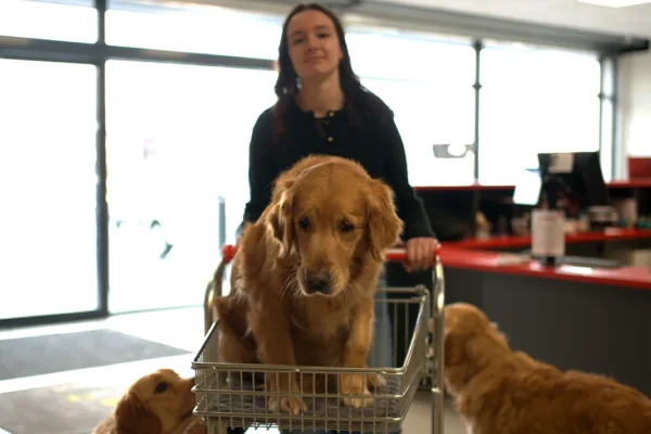 Médor et Compagnie - animalerie de proximité Vichy Montluçon